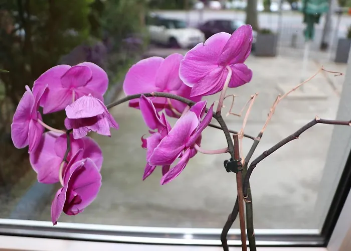 利金娜酒店 酒店